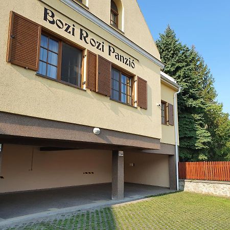 ホテル Bozi Rozi Panzio Fertőboz エクステリア 写真