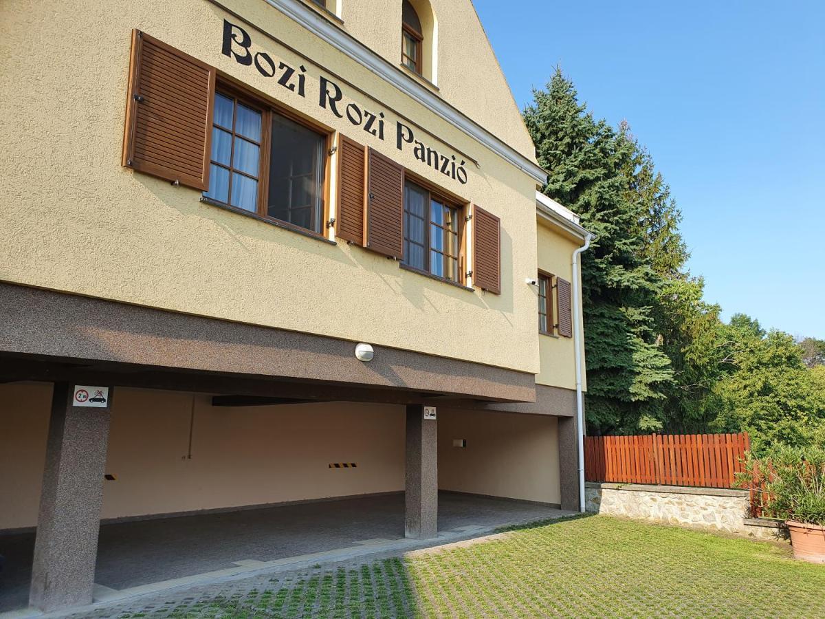 ホテル Bozi Rozi Panzio Fertőboz エクステリア 写真